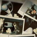 youngdonniedarko avatar