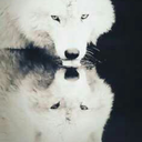 youngdude-est95-blog avatar