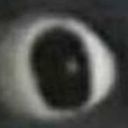 younggainer123-blog avatar