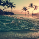 youngthoughts6-blog avatar