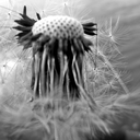 youngvolcanos-stories avatar