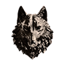 youngwlf-movedtosideblogsameurl avatar