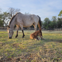 your-body-be-utiful avatar