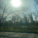 your-body-is-a-weaponn avatar