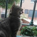 your-dead-art-student avatar