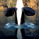 your-everyday-college-kid avatar