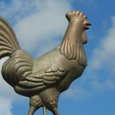 your-featherbrained-weather-vane avatar