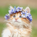 your-least-favorite-lab-rat avatar