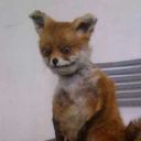 your-local-gifted-kid avatar