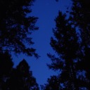 your-normal-is-boring-me avatar