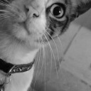 your-smilecrying avatar