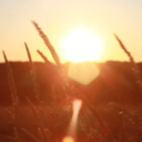 your-soul-sister avatar