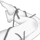 your0angel0baby avatar