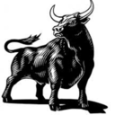 yourbull avatar