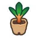 yourcedarsapling avatar