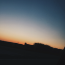 youre-my-nepenthe avatar