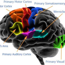 yourekillinmesmalls123 avatar