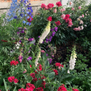 youremywaterloo avatar