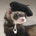 youreterribleferrets avatar