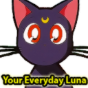 youreverydayluna avatar