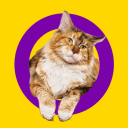 yourfaveisintersex avatar