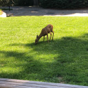 yourfavorited0rk avatar