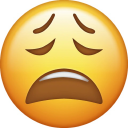 yourfeelings-are-valid avatar