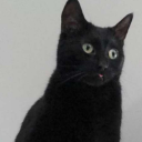 yourflatlookslovely avatar