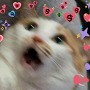 yourinmyharto avatar