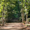 yourleftinmyright avatar