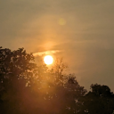 yourlocalanorexic1331 avatar