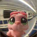 yourlocalbuniiiii avatar