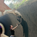 yourmomisaslut avatar