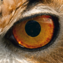 yourpaganuncle avatar