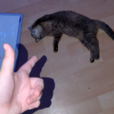 yourplaceinaugust avatar