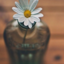 yourrighthand avatar