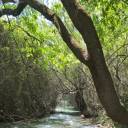 yourshoeinsole avatar