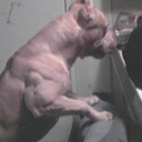 yourspiritualking avatar