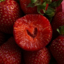 yourstrawberryheart avatar