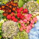 yousra-bamon-things avatar