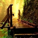 youwannatalkaboutdinosaurs avatar