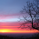 youwillneedlove avatar