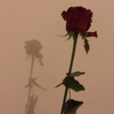 youxdontyknowzme avatar