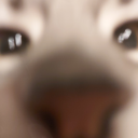 yuespropagandablog avatar