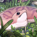 yugiohtournaments avatar