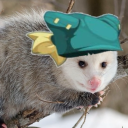 yugo-possum avatar