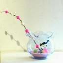 yukari-hashimoto avatar