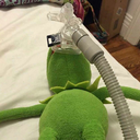 yukariyainelim avatar