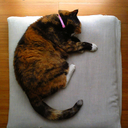 yuki-fragment avatar