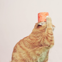 yukizhang2046 avatar